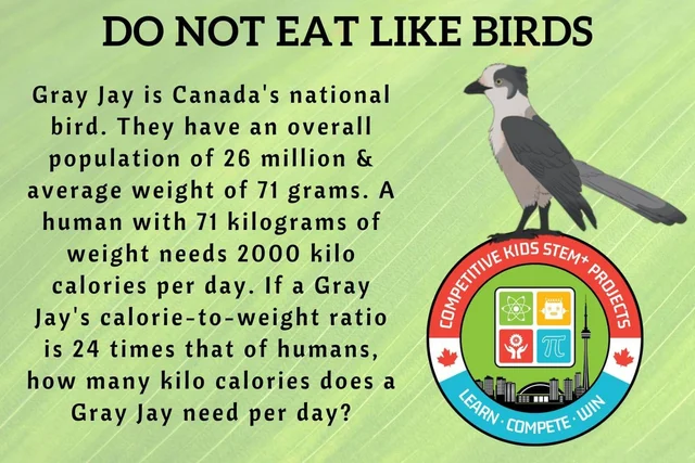Original activity · Do not eat like birds — original poster; readable text is provided immediately before this image